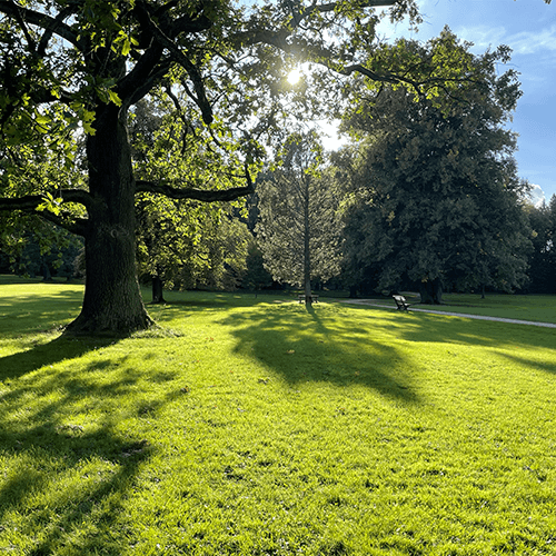 Fotografie Zámeckého parku